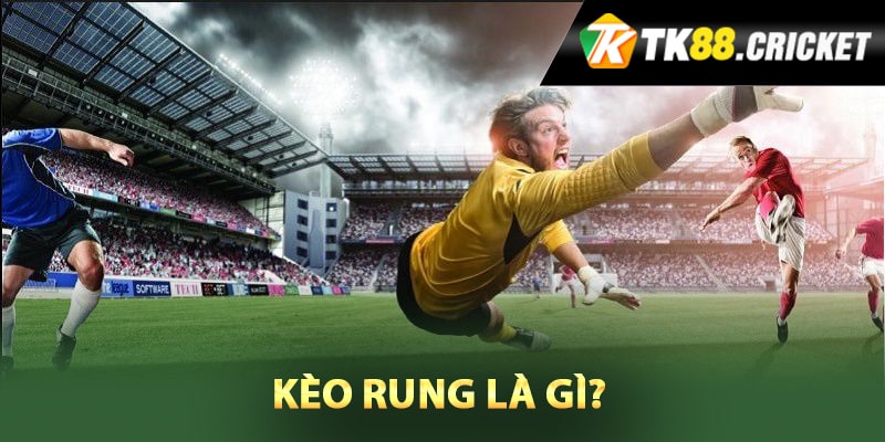 Kèo Rung Là Gì? Bí Quyết Bắt Kèo Chuẩn Xác 100% Hiệu Quả 1 Kèo rung là gì?