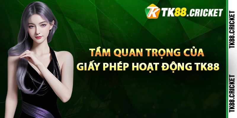 Giấy Phép Hoạt Động TK88 – Đảm Bảo Các Yếu Tố Pháp Lý 3 Tầm quan trọng của giấy phép hoạt động TK88