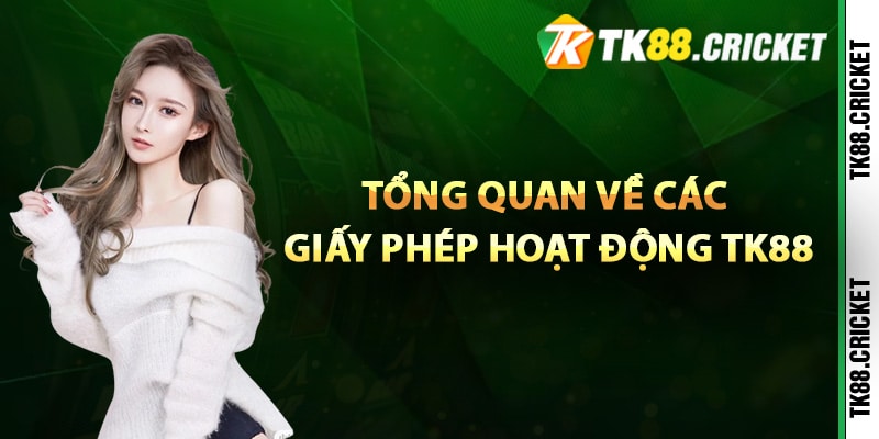 Giấy Phép Hoạt Động TK88 – Đảm Bảo Các Yếu Tố Pháp Lý 2 Tổng quan về các giấy phép hoạt động TK88 đã có